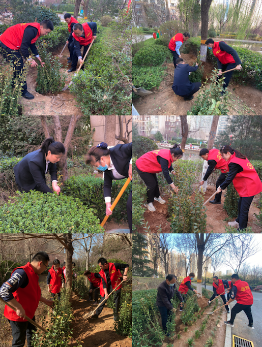 【湧光黨建】黨旗飄揚踐初心 植樹添綠正當時(shí)丨魯商服務濟南城市公司黨支部開(kāi)展植樹節主題黨日活動